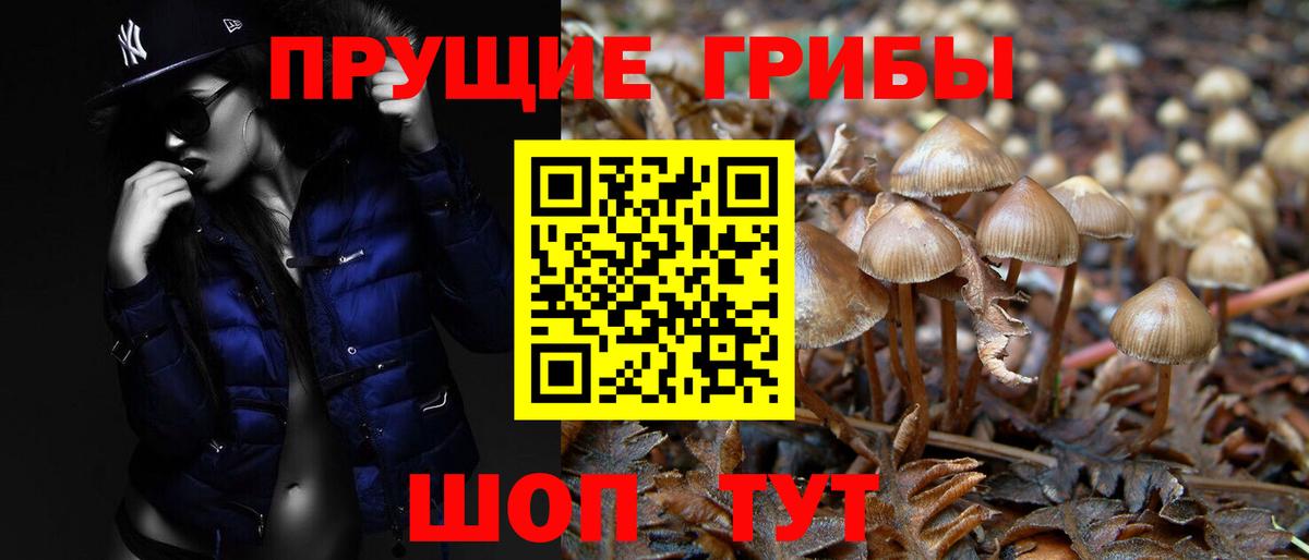 Лениногорск  Псилоцибиновые грибы GOLDEN TEACHER  Вход с VPN 